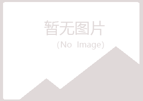 河池紫山会计有限公司